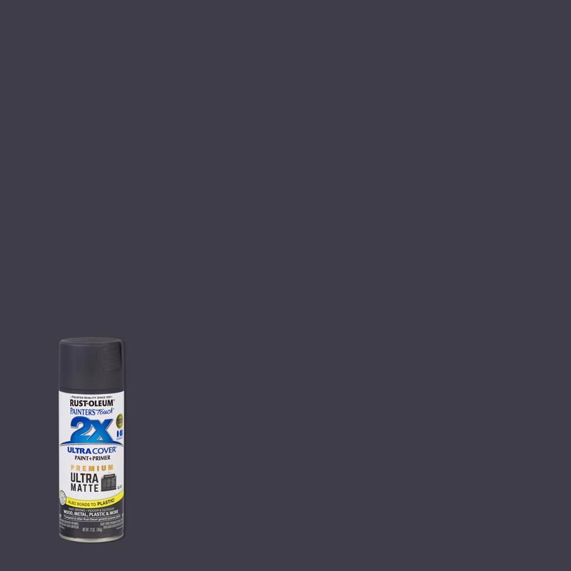 Rust-Oleum Painter's Touch 2X Ultra Cover Ultra Matte Slate Paint+Primer Spray Paint 12 oz