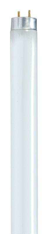 Satco 17 W T8 1 in. D X 23.78 in. L Fluorescent Bulb Cool White Linear 4100 K 1 pk (Pack of 30)