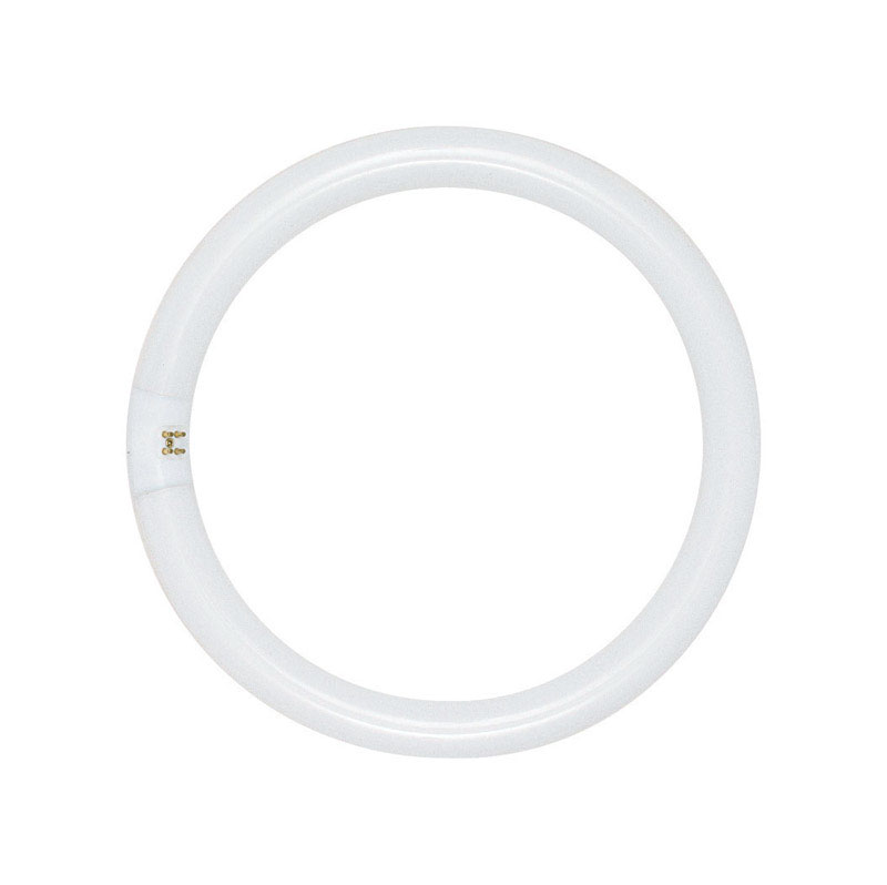 Satco 22 W T9 1.13 in. D X 8 in. L Circline Fluorescent Bulb Daylight Tubular 6500 K 1 pk