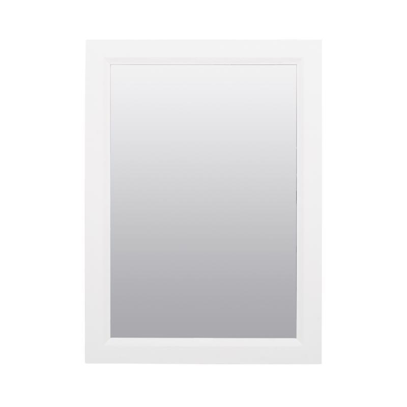 Zenna Home 22.38 in. H X 16.38 in. W X 5 in. D Rectangle Medicine Cabinet/Mirror