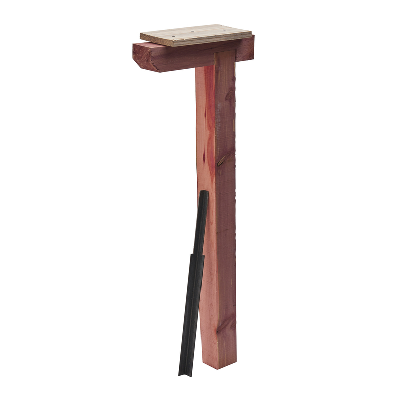 Mail Box Posts