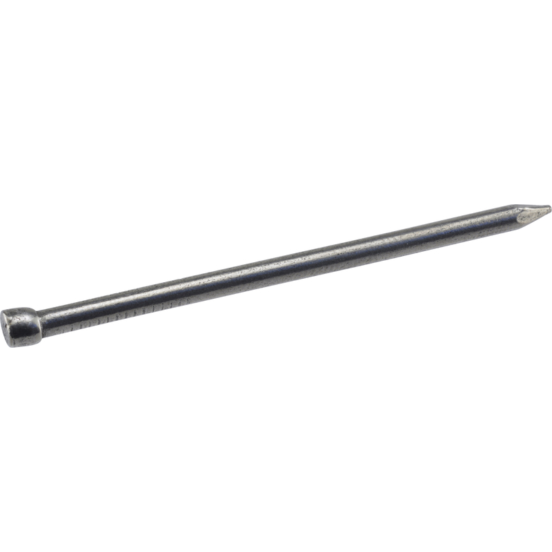 HILLMAN 6D 2 in. Finishing Polished Steel Nail Large Head (Pack of 6)