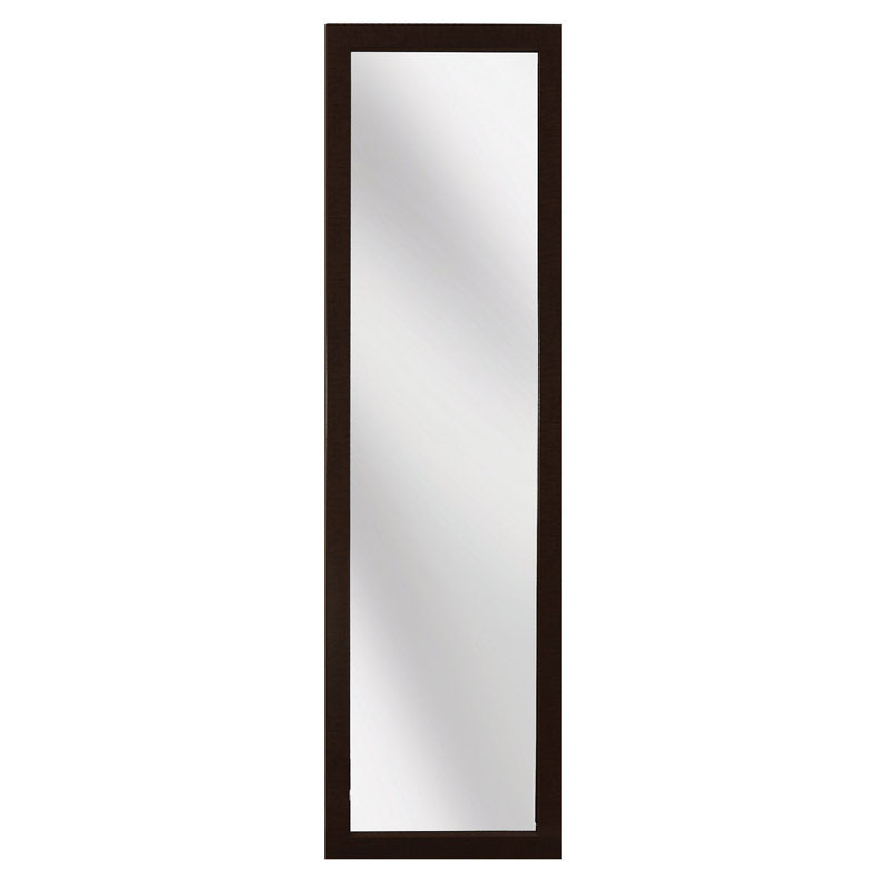 Erias 51 in. H X 15 in. W Espresso Plastic Door Mirror (Pack of 4)