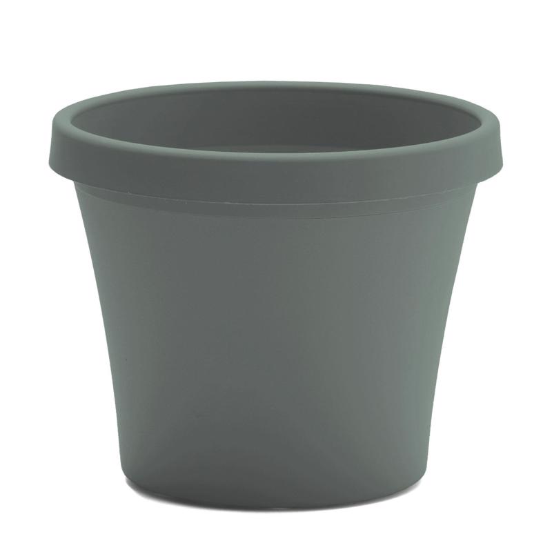 Bloem Terra 12.75 in. H X 15 in. W X 10.25 in. D Plastic Traditional Planter Basil