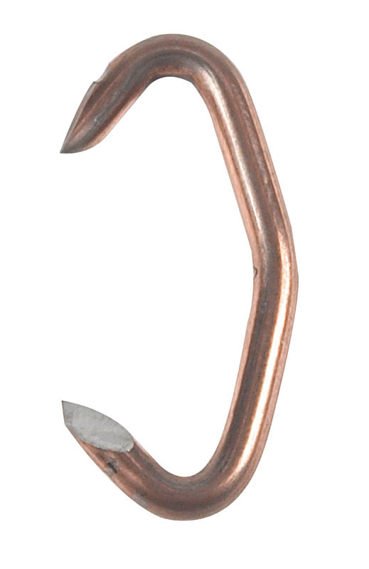 Animal Rings