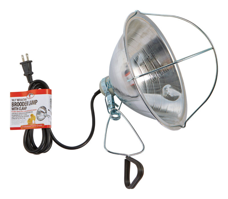 Livestock Equipment