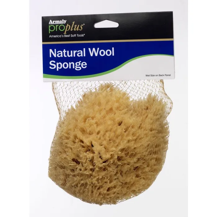Armaly ProPlus Medium Duty Antibacterial Sponge For Multi-Purpose 7 in. L 1 pc