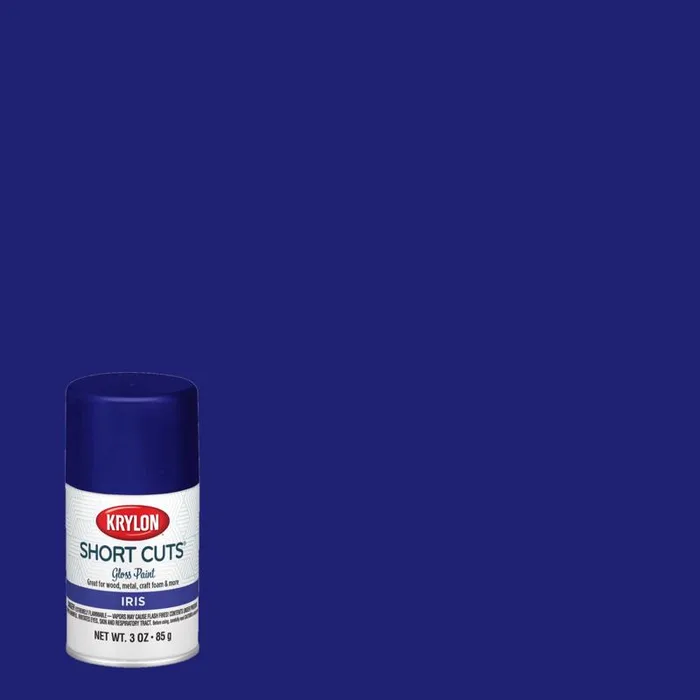 Krylon Short Cuts Gloss Iris Spray Paint 3 oz (Pack of 6)