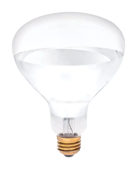 Westinghouse 250 W R40 Reflector Incandescent Bulb E26 (Medium) White 1 pk (Pack of 6)