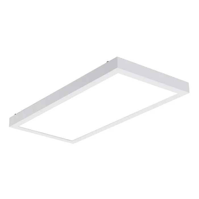 Metalux 2.5 in. H X 12 in. W X 24 in. L White LED Ceiling Light