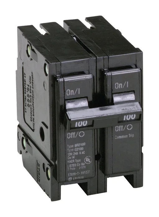 Eaton 100 amps Plug In 2-Pole Circuit Breaker