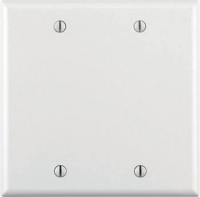 Leviton White 2 gang Plastic Blank Wall Plate 1 pk (Pack of 25)