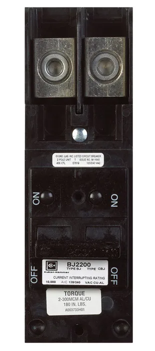Eaton 200 amps Plug In 2-Pole Circuit Breaker