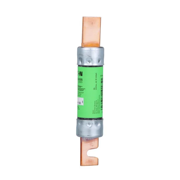Bussmann 100 amps Time Delay Fuse (Pack of 5)