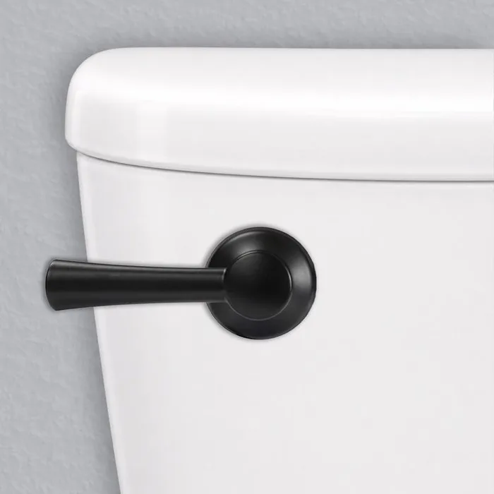 Korky StrongARM, Simple Style Flush Handle Black Matte Metal For Universal