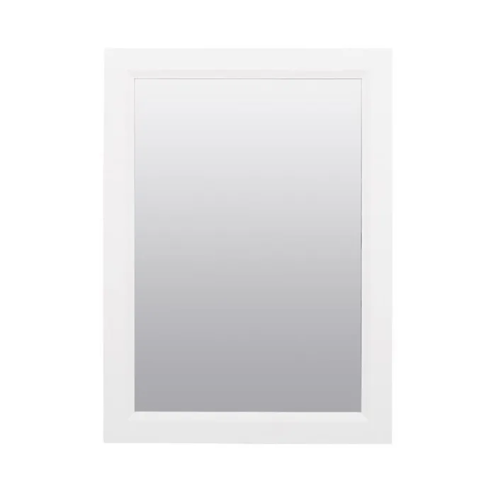 Zenna Home 22.38 in. H X 16.38 in. W X 5 in. D Rectangle Medicine Cabinet/Mirror