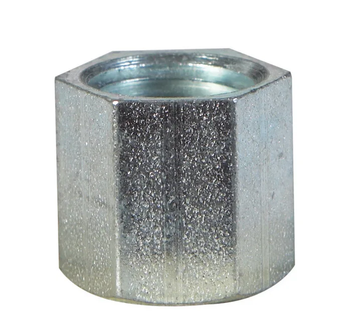 Billco Corporation 1/4 in. FPT Galvanized Steel Hex Cap (Pack of 5)
