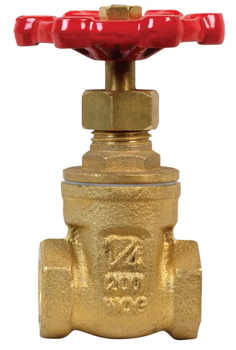 BK Products ProLine Series 1/4 in. FIP Brass Gate Valve