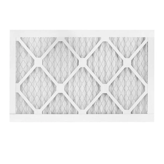 AAF Flanders PREpleat LPD SC M10 30 in. W X 20 in. H X 1 in. Synthetic 10 MERV Pleated Air Filter 1 (Pack of 12)