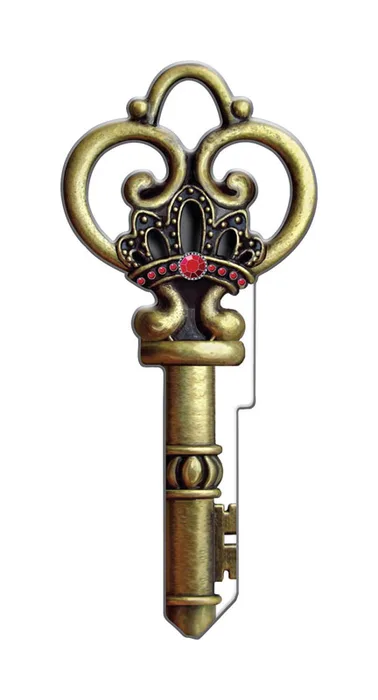 Lucky Line Skeleton House Key Blank Single Multicolored (Pack of 5)