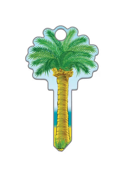 Lucky Line Palm Tree House Key Blank Double Multicolored (Pack of 5)