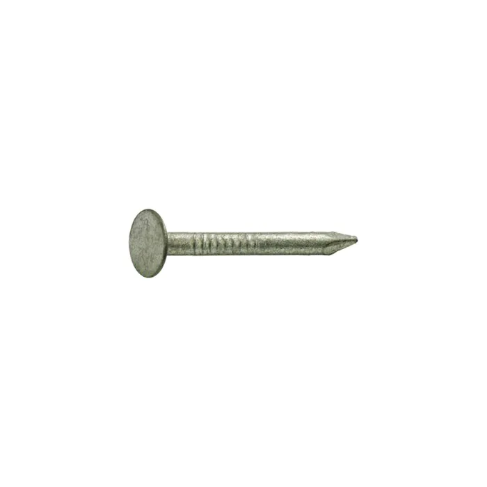 Grip-Rite 2-1/2 in. Roofing Hot-Dipped Galvanized Steel Nail Flat Head 1 lb (Pack of 12)