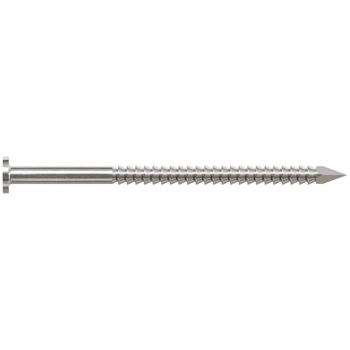 Simpson Strong-Tie 8D 2-1/2 in. Common Stainless Steel Nail Round Head 1 lb