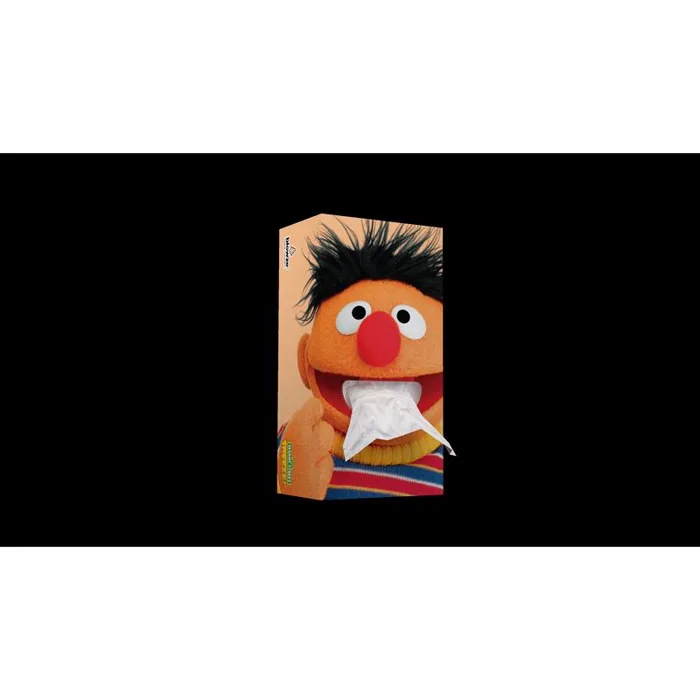 Blowze Tissues Sesame Street 124 ct Facial Tissue (Pack of 24)