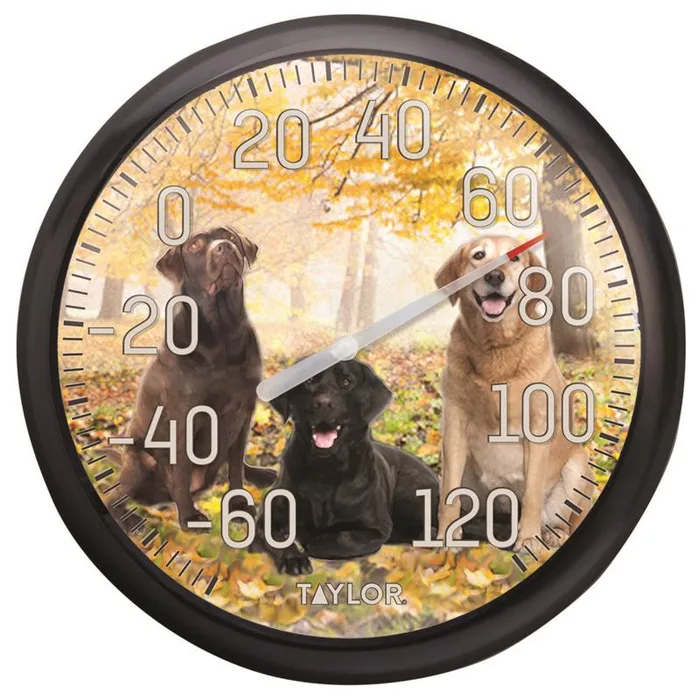 Taylor Dog Design Dial Thermometer Plastic Multicolored 13.25 in.
