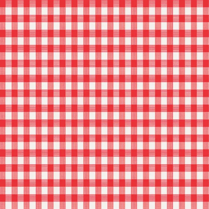 Magic Cover Red/White Checkered Vinyl Disposable Tablecloth 90 in. L X 52 in. W