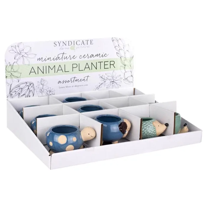 Avera Products Ceramic Animal Succulent Pot Assorted (Pack of 12)