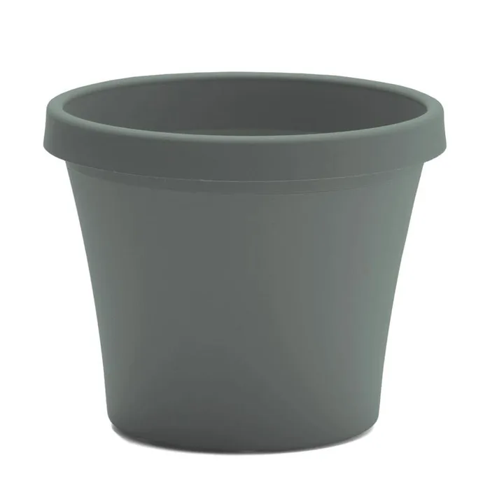 Bloem Terra 10.75 in. H X 13 in. W X 9 in. D Plastic Traditional Planter Basil