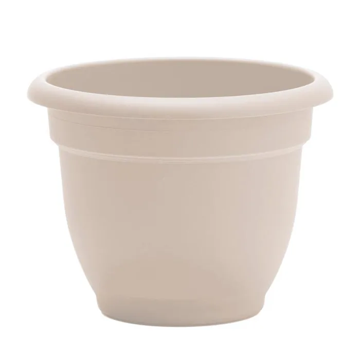 Bloem Ariana 5.25 in. H X 6.5 in. W X 6 in. D Plastic Traditional Planter Cream
