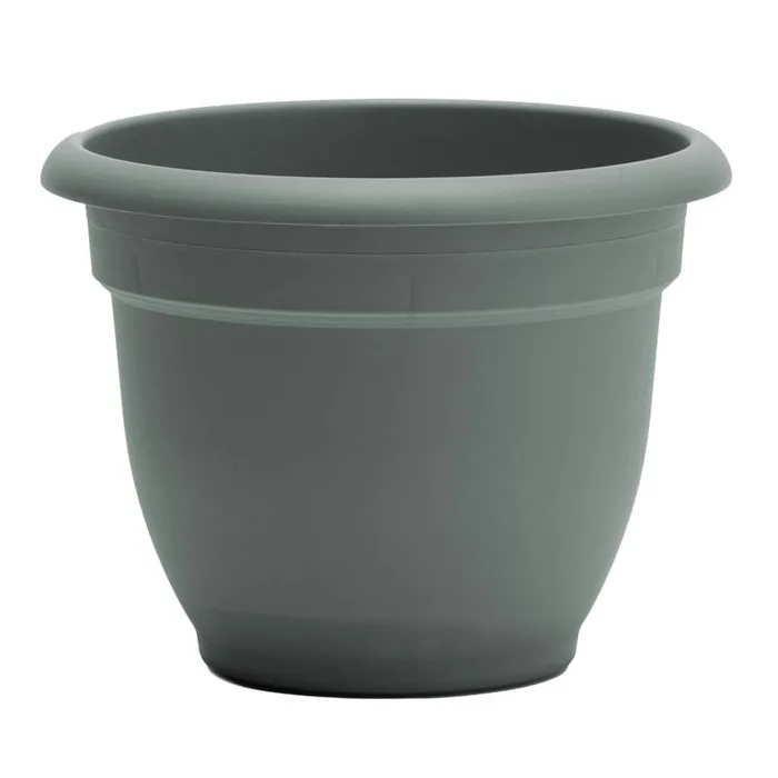 Bloem Ariana 5.25 in. H X 6.5 in. W X 6 in. D Plastic Traditional Planter Basil