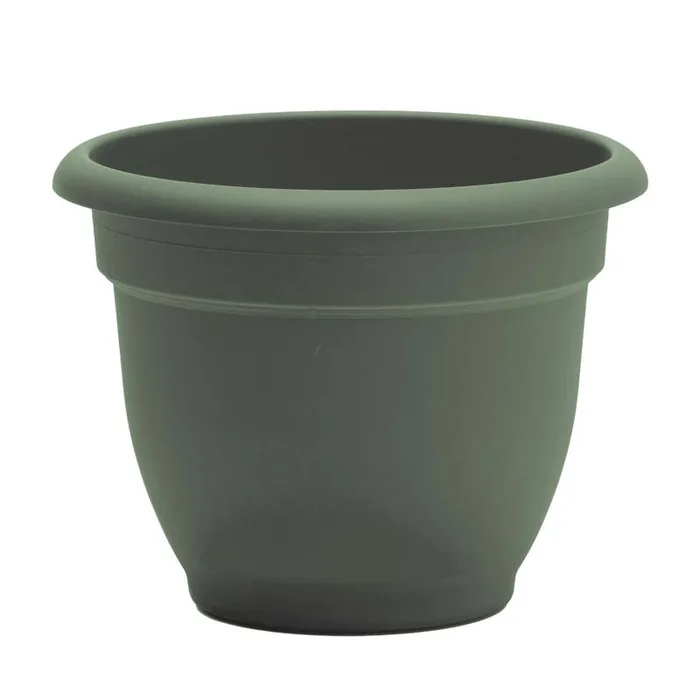 Bloem Ariana 8.5 in. H X 11 in. W X 10 in. D Plastic Traditional Planter Basil
