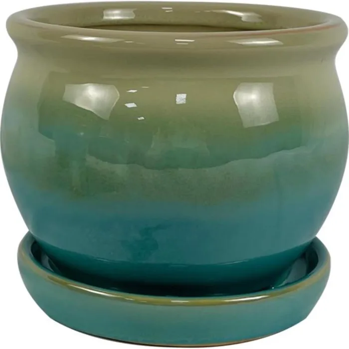 Border Concepts 5 in. H X 6 in. W Ceramic Archdale Planter Moss (Pack of 6)