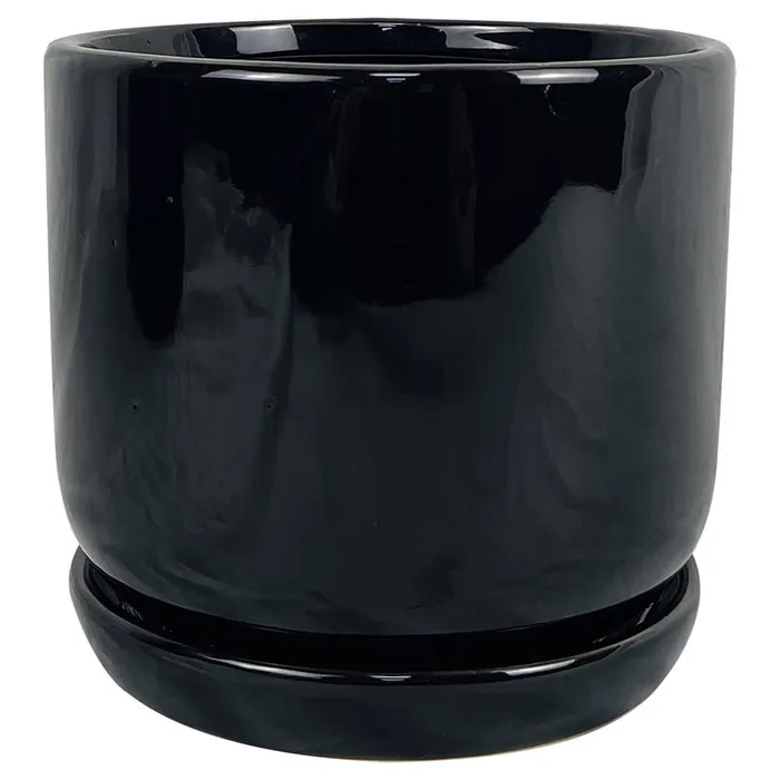 Border Concepts 6 in. D Ceramic Cover Pot Black (Pack of 6)