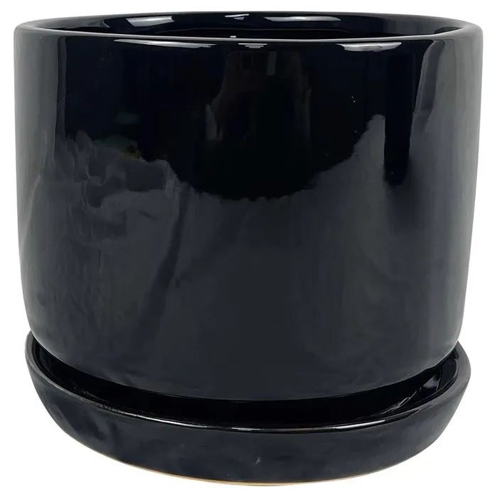 Border Concepts 8 in. D Ceramic Cover Pot Black (Pack of 4)