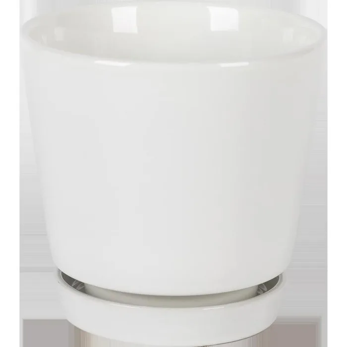 Border Concepts 6 in. D Ceramic Flair Saucer Planter White (Pack of 6)