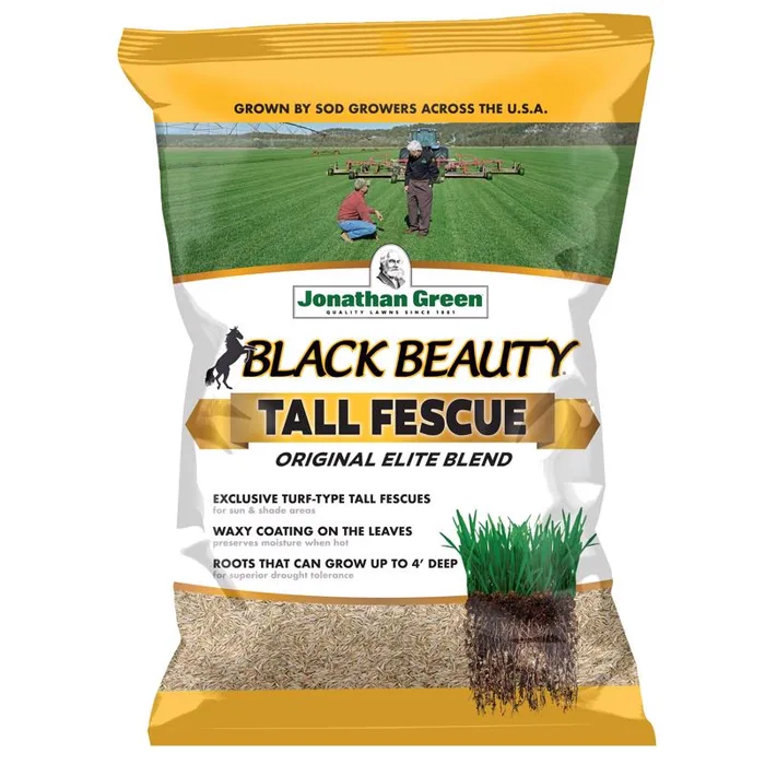 Jonathan Green Black Beauty Tall Fescue Grass Sun or Shade Grass Seed 7 lb