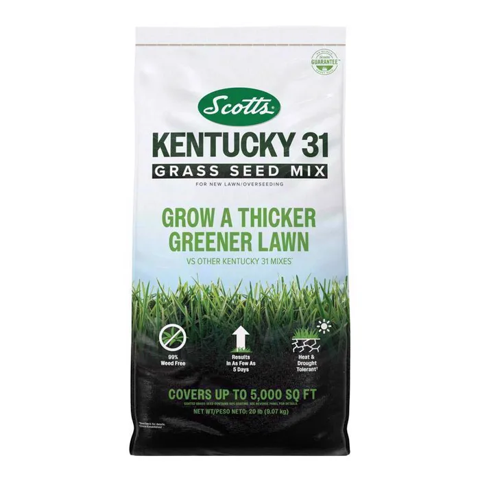 Scotts Kentucky 31 Full Sun/Light Shade Grass Seed Mix