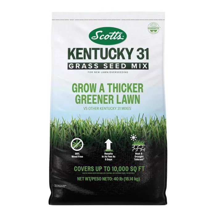 Scotts Kentucky 31 Full Sun Grass Seed Mix 40 lb