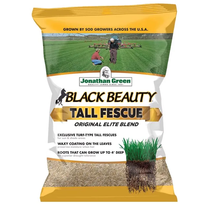 Jonathan Green Black Beauty Tall Fescue Grass Sun or Shade Grass Seed 15 lb