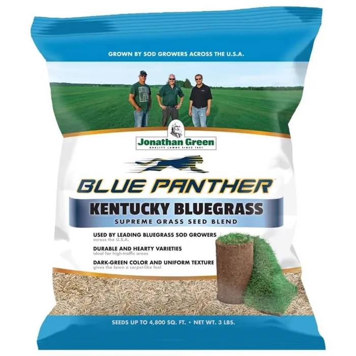 Jonathan Green Blue Panther Kentucky Bluegrass Partial Shade/Sun Grass Seed 3 lb