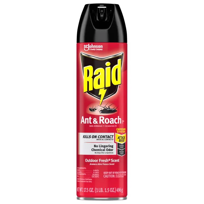 Raid Insect Killer Aerosol 17.5 oz (Pack of 12)