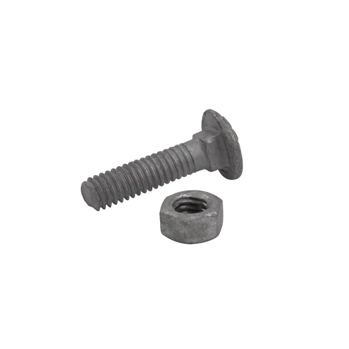 Carriage Bolts