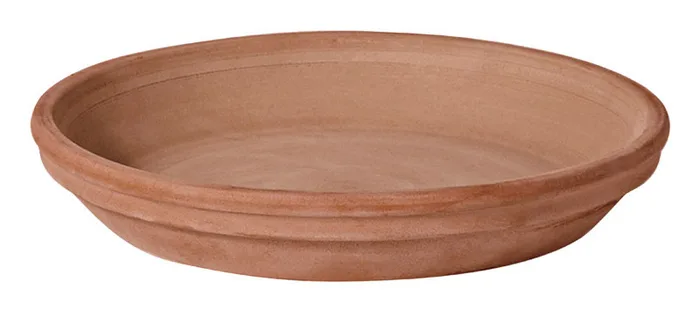 Deroma 1.6 in. H X 12.2 in. D Clay Rich Plant Saucer Chocolate (Pack of 8)