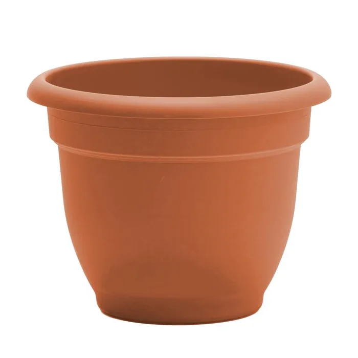 Bloem Ariana 5.25 in. H X 6.5 in. W Resin Traditional Planter Terracotta