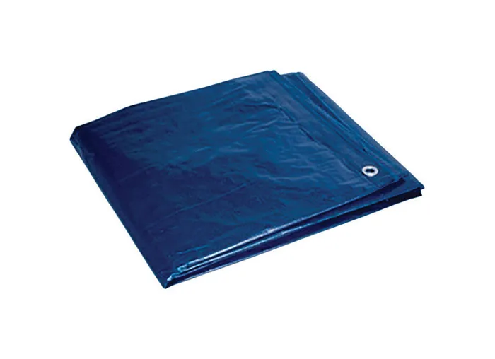 Foremost 10 ft. W X 12 ft. L Light Duty Polyethylene Tarp Blue