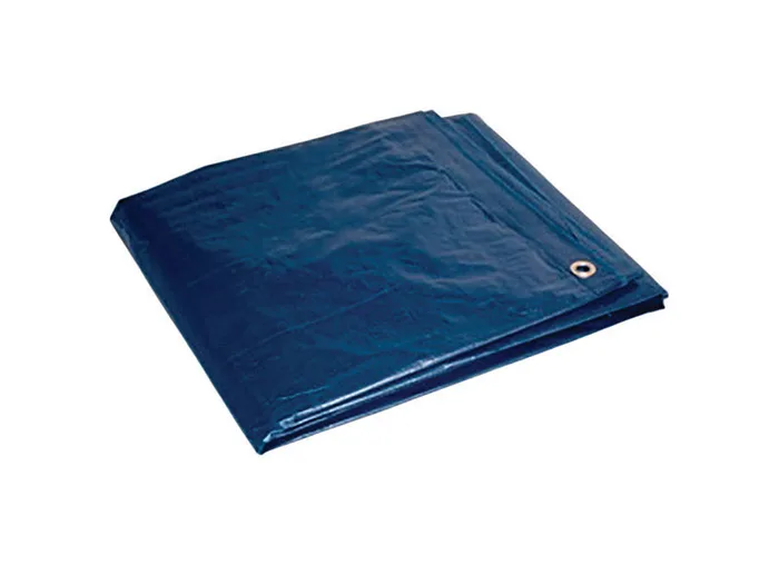 Foremost 12 ft. W X 16 ft. L Light Duty Polyethylene Tarp Blue